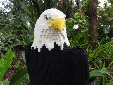 Bald eagle made of lego. (Photo Credit: Wynn Johnston)